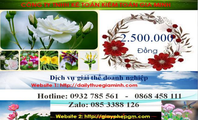 Chi phí giải thể công ty ở Quận 4