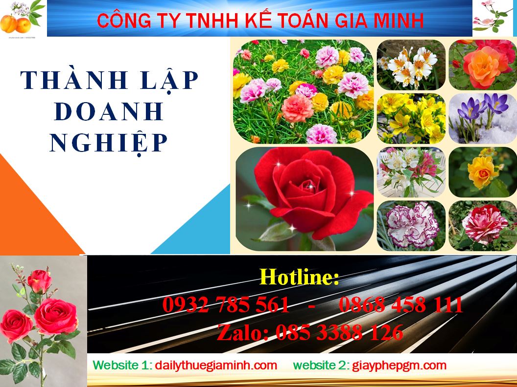 Chi phí thành lập công ty tại An Giang 4 Dịch vụ thành lập công ty tại An Giang