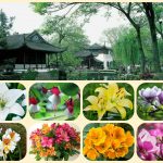Thành lập công ty tại Bắc Kạn