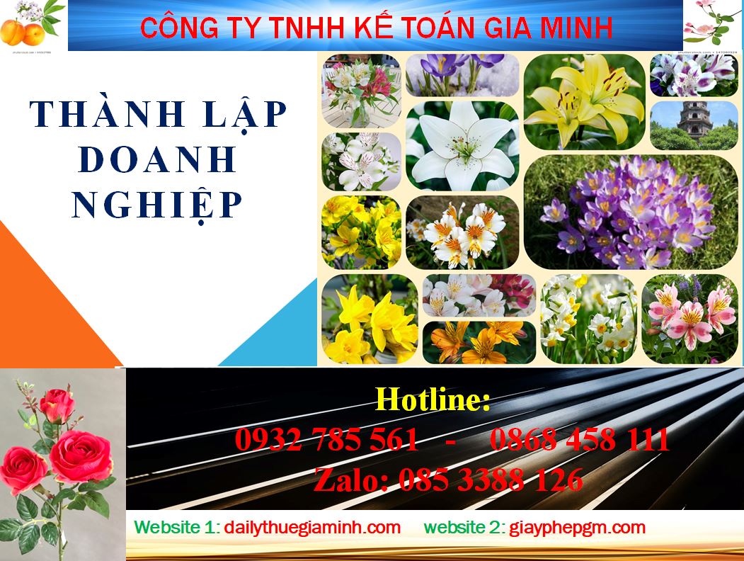 Dịch vụ thành lập công ty tại Bắc Kạn