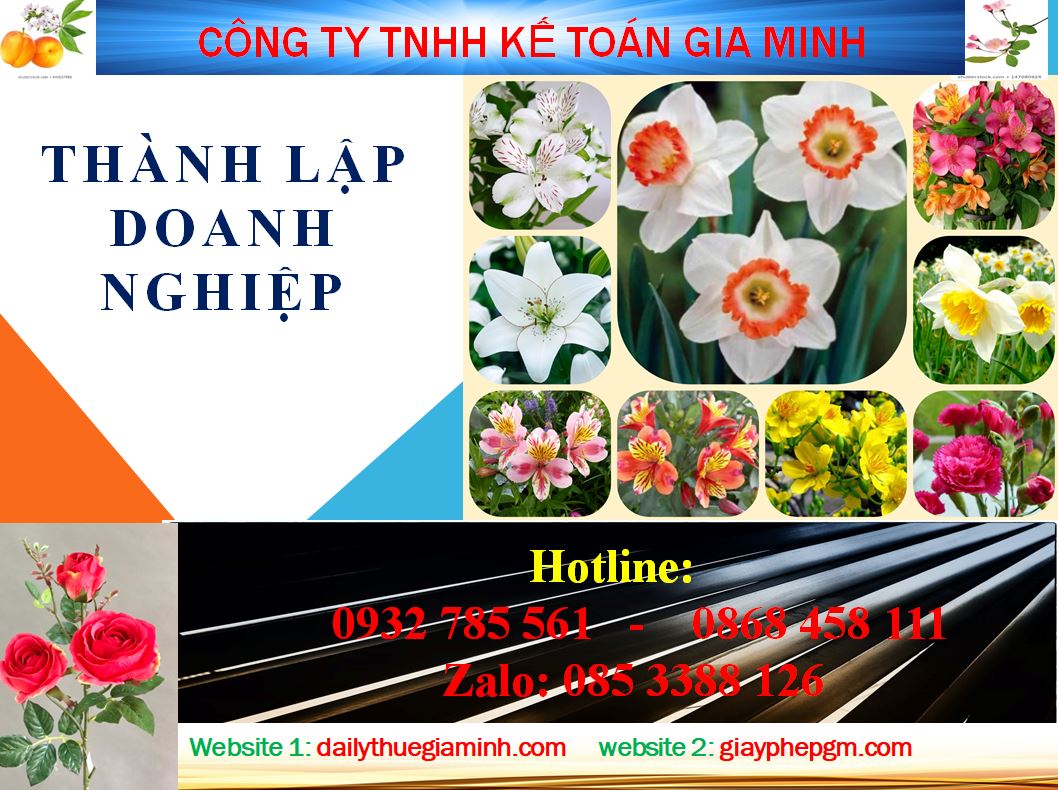 Chi phí thành lập công ty tại Bến Tre 4 Dịch vụ thành lập công ty tại Bến Tre