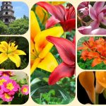 Chi phí thành lập công ty tại Bến Tre 6 Thành lập công ty tại Bến Tre