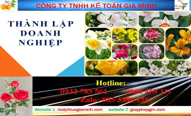 Chi phí thành lập công ty tại Bình Định 4 Dịch vụ thành lập công ty tại Bình Định