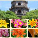 Chi phí thành lập công ty tại Bình Định 6 Thành lập công ty tại Bình Định