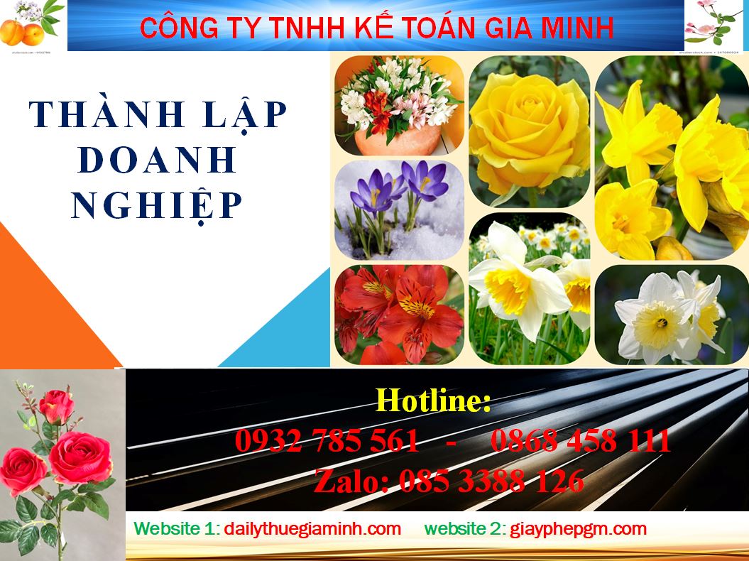 Chi phí thành lập công ty tại Cần Thơ giá rẻ uy tín 5 Dịch vụ thành lập công ty tại Cần Thơ