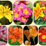 Chi phí thành lập công ty tại Cần Thơ giá rẻ uy tín 8 Thành lập công ty tại Cần Thơ