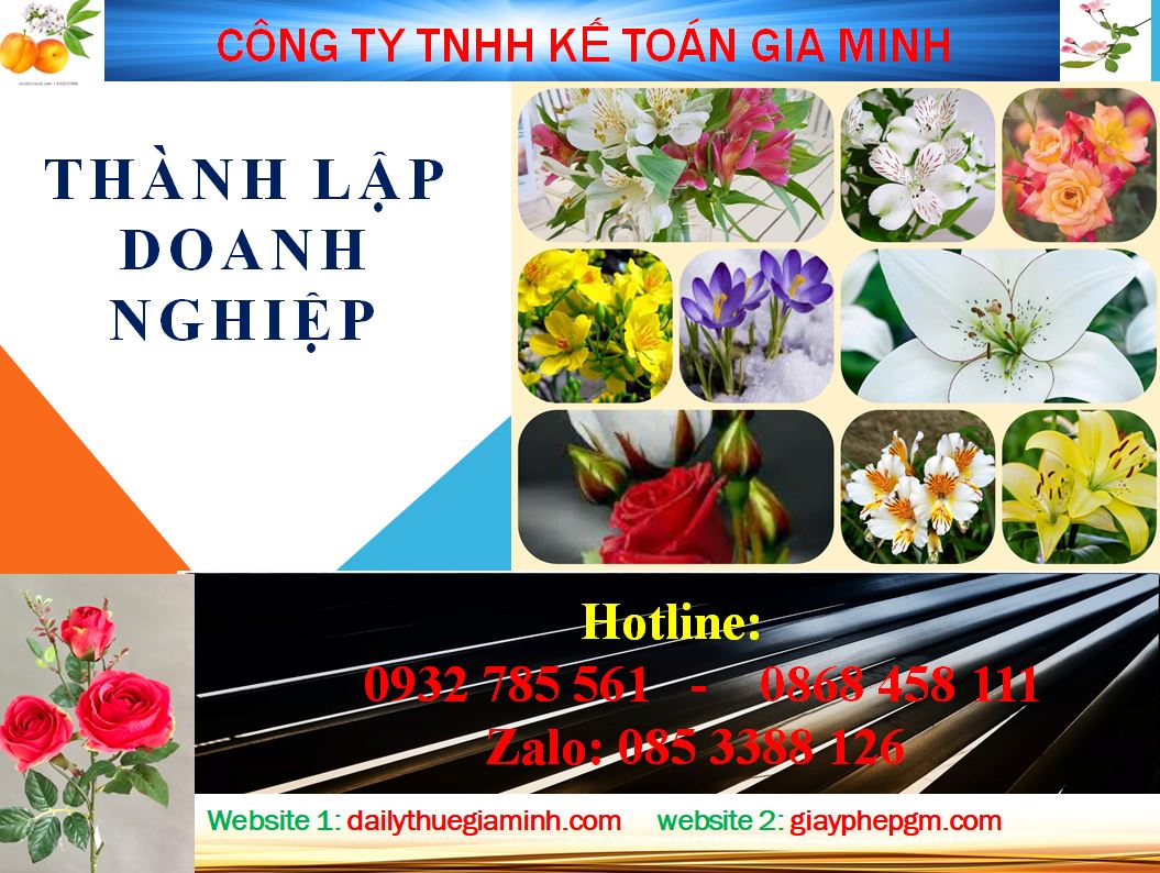 Chi phí thành lập công ty tại Điện Biên 4 Dịch vụ thành lập công ty tại Điện Biên