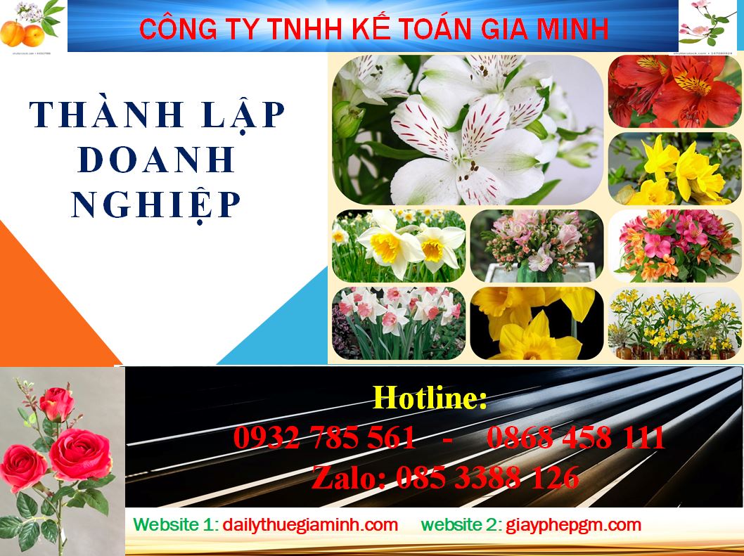 Chi phí thành lập công ty tại Hà Giang 4 Dịch vụ thành lập công ty tại Hà Giang