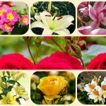 Chi phí thành lập công ty tại Hà Nam 6 Thành lập công ty tại Hà Nam