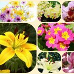 Chi phí thành lập công ty tại Hải Dương 6 Thành lập công ty tại Hải Dương