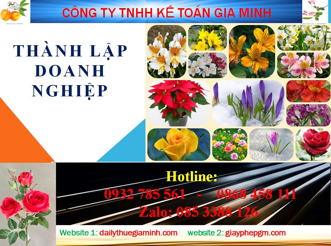 Chi phí thành lập công ty tại Hải Dương 4 Dịch vụ thành lập công ty tại Hải Dương