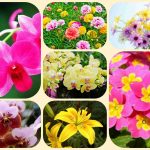Chi phí thành lập công ty tại Hải Phòng 6 Thành lập công ty tại Hải Phòng