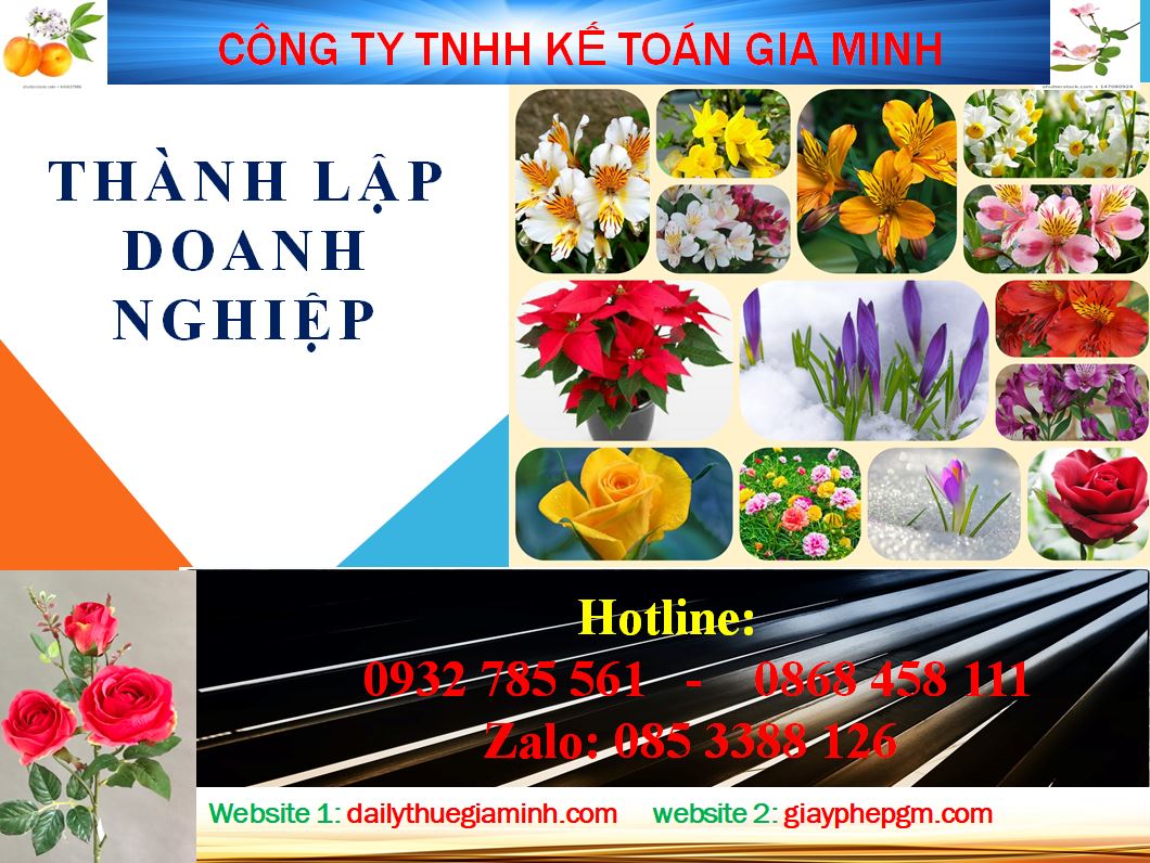 Chi phí thành lập công ty tại Hải Phòng 4 Dịch vụ thành lập công ty tại Hải Phòng