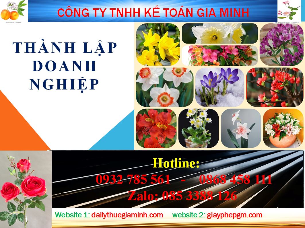 Chi phí thành lập công ty tại huyện Bắc Tân Uyên 4 Dịch vụ thành lập công ty tại huyện Bắc Tân Uyên