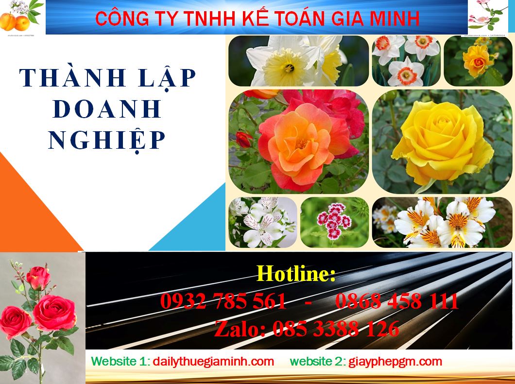 Chi phí thành lập công ty tại huyện Bàu Bàng 4 Dịch vụ thành lập công ty tại huyện Bàu Bàng