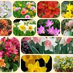 Chi phí thành lập công ty tại huyện Bàu Bàng 6 Thành lập công ty tại huyện Bàu Bàng