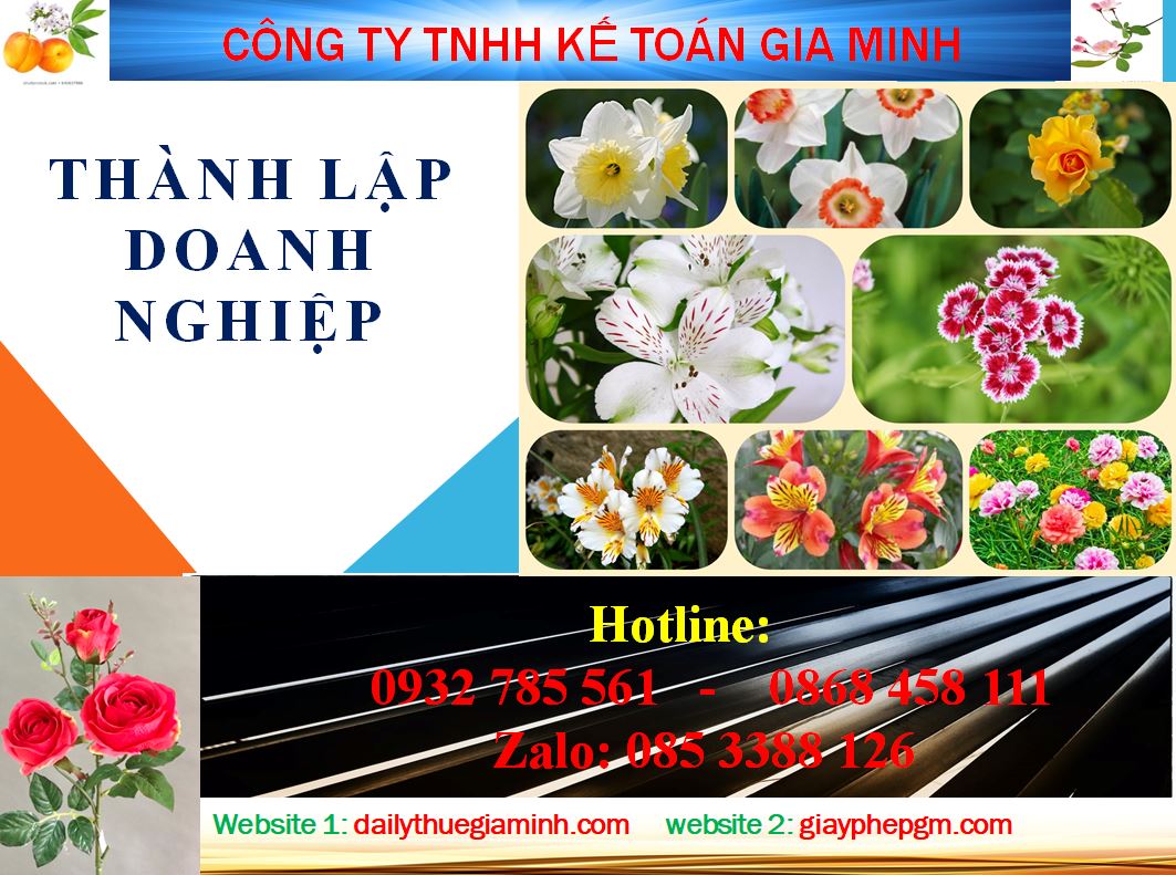Chi phí thành lập công ty tại huyện Cần Giờ 4 Dịch vụ thành lập công ty tại huyện Cần Giờ