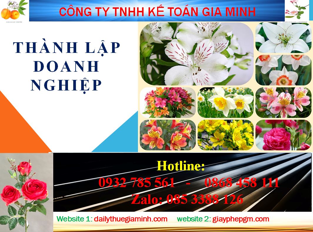 Chi phí thành lập công ty tại huyện Củ Chi 4 Dịch vụ thành lập công ty tại huyện Củ Chi