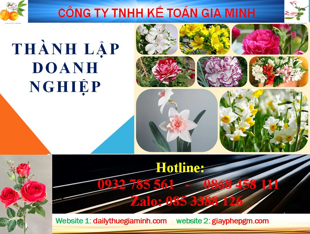 Chi phí thành lập công ty tại huyện Phú Giáo 4 Dịch vụ thành lập công ty tại huyện Phú Giáo