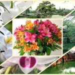 Chi phí thành lập công ty tại huyện Phú Giáo 6 Thành lập công ty tại huyện Phú Giáo