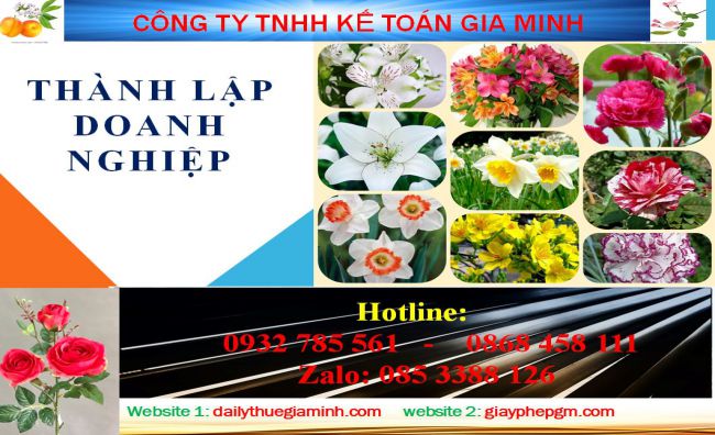 Chi phí thành lập công ty tại Lai Châu 4 Dịch vụ thành lập công ty tại Lai Châu