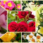 Chi phí thành lập công ty tại Lạng Sơn 6 Thành lập công ty tại Lạng Sơn