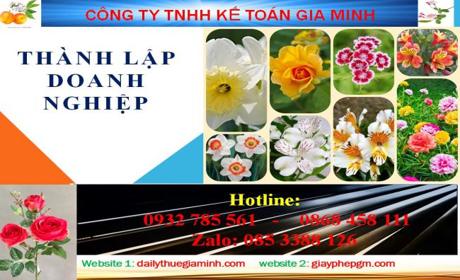 Chi phí thành lập công ty tại Lào Cai 4 Dịch vụ thành lập công ty tại Lào Cai