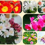Chi phí thành lập công ty tại Nam Định 6 Thành lập công ty tại Nam Định