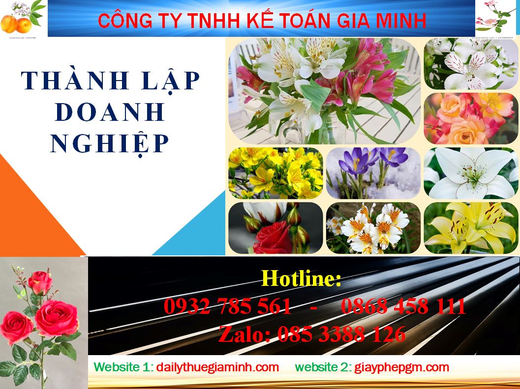 Chi phí thành lập công ty tại Nam Định 4 Thành lập công ty tại Nam Định