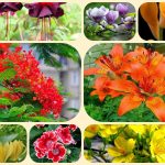 Chi phí thành lập công ty tại Ninh Bình 6 Thành lập công ty tại Ninh Bình