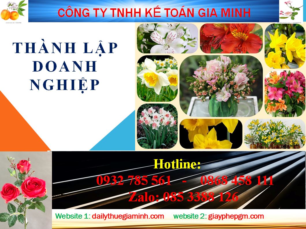 Chi phí thành lập công ty tại Phú Thọ 4 Dịch vụ thành lập công ty tại Phú Thọ