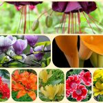 Chi phí thành lập công ty tại Quảng Ninh 6 Thành lập công ty tại Quảng Ninh