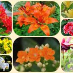 Chi phí thành lập công ty tại Thái Bình 6 Thành lập công ty tại Thái Bình