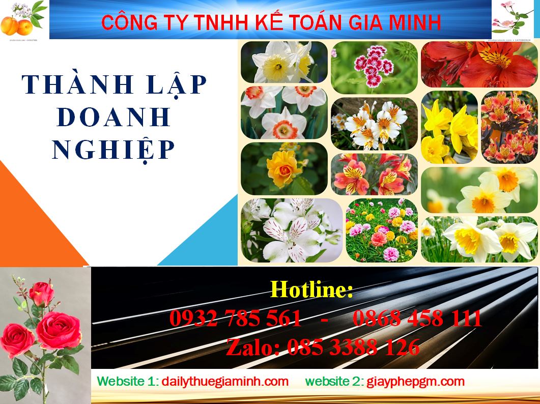 Chi phí thành lập công ty tại Thái Bình 4 Dịch vụ thành lập công ty tại Thái Bình