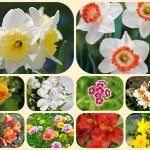 Chi phí thành lập công ty tại thị xã Bến Cát 6 Thành lập công ty tại thị xã Bến Cát