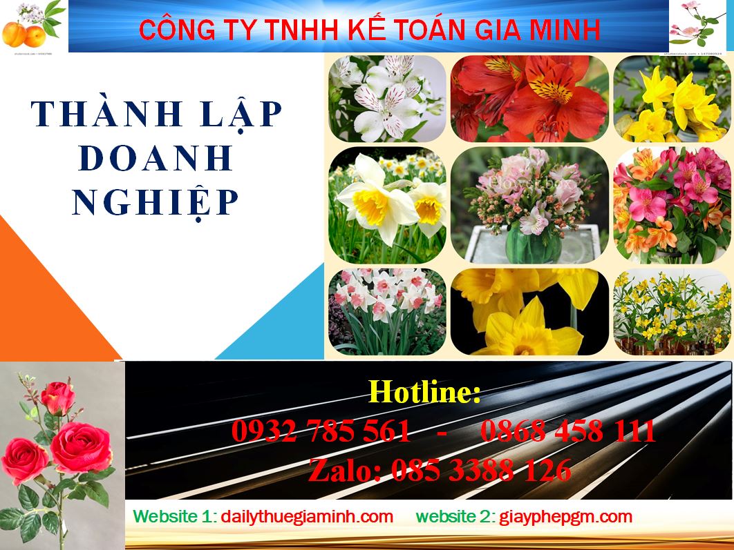 Chi phí thành lập công ty tại thị xã Thuận An 4 Dịch vụ thành lập công ty tại thị xã Thuận An