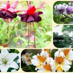 Chi phí thành lập công ty tại Thừa Thiên Huế 6 Thành lập công ty tại Thừa Thiên Huế