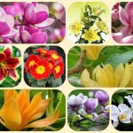 Chi phí thành lập công ty tại TP Hồ Chí Minh 6 Thành lập công ty tại TP Hồ Chí Minh