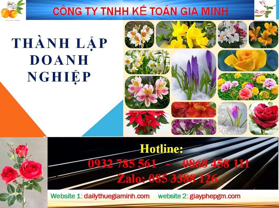 Chi phí thành lập công ty tại TP Hồ Chí Minh 4 Dịch vụ thành lập công ty tại TP Hồ Chí Minh