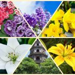 Chi phí thành lập công ty tại Tuyên Quang 6 Thành lập công ty tại Tuyên Quang