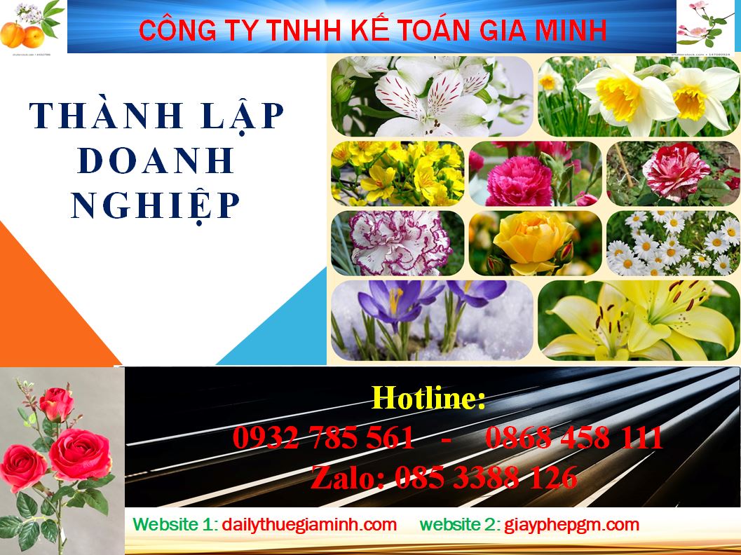 Chi phí thành lập công ty tại Tuyên Quang 4 Dịch vụ thành lập công ty tại Tuyên Quang
