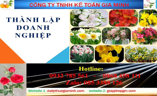 Chi phí thành lập công ty tại Vũng Tàu 4 Dịch vụ thành lập công ty tại Vũng Tàu