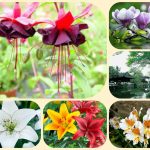 Chi phí thành lập công ty tại Vũng Tàu 6 Thành lập công ty tại Vũng Tàu