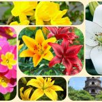 Chi phí thành lập công ty tại Yên Bái 6 Thafh lập công ty tại Yên Bái