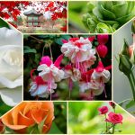 Chi phí thành lập công ty tại An Giang 6 Thành lập công ty tại An Giang