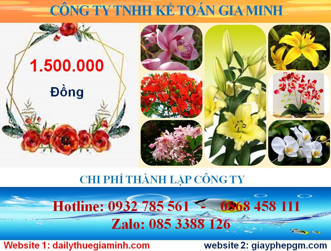 Mở công ty trọn gói tại Cao Bằng – Dịch vụ nhanh chóng, uy tín, chuyên nghiệp 5 Chi phí mở công ty trọn gói tại Cao Bằng