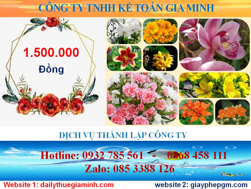 Thành lập công ty tại Đồng Tháp 2 Chi phí thành lập công ty tại Đồng Tháp