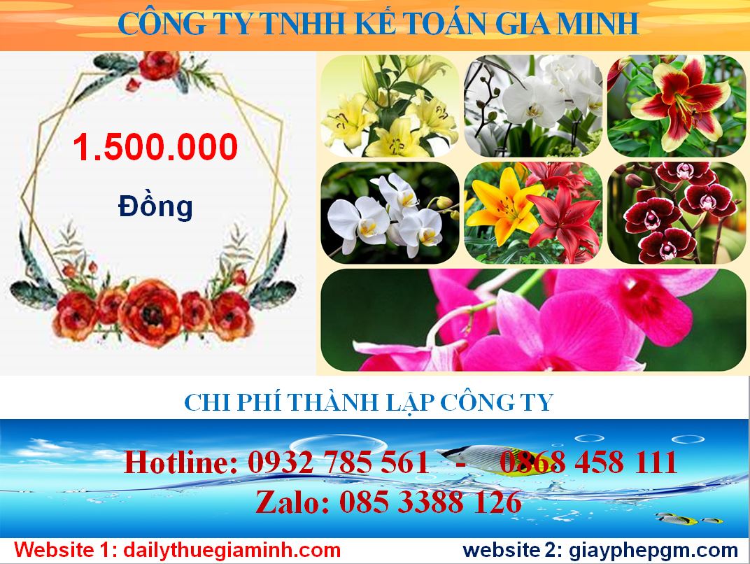 Chi phí thành lập công ty tại Hải Dương 5 Chi phí thành lập công ty tại Hải Dương