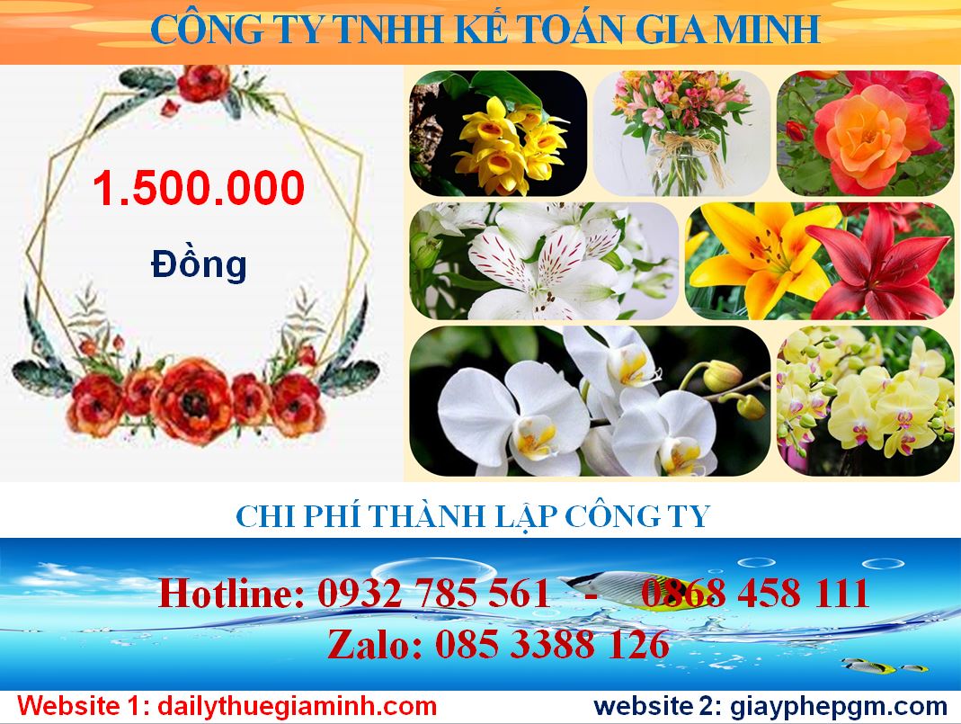 Chi phí thành lập công ty tại Hải Phòng 5 Phí thành lập công ty tại Hải Phòng trọn gói