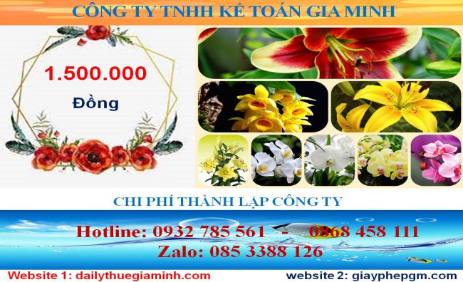 Chi phí thành lập công ty tại huyện Bắc Tân Uyên 5 Chi phí thành lập công ty tại huyện Bắc Tân Uyên